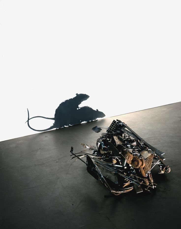 shadow instalation metal rats fcking